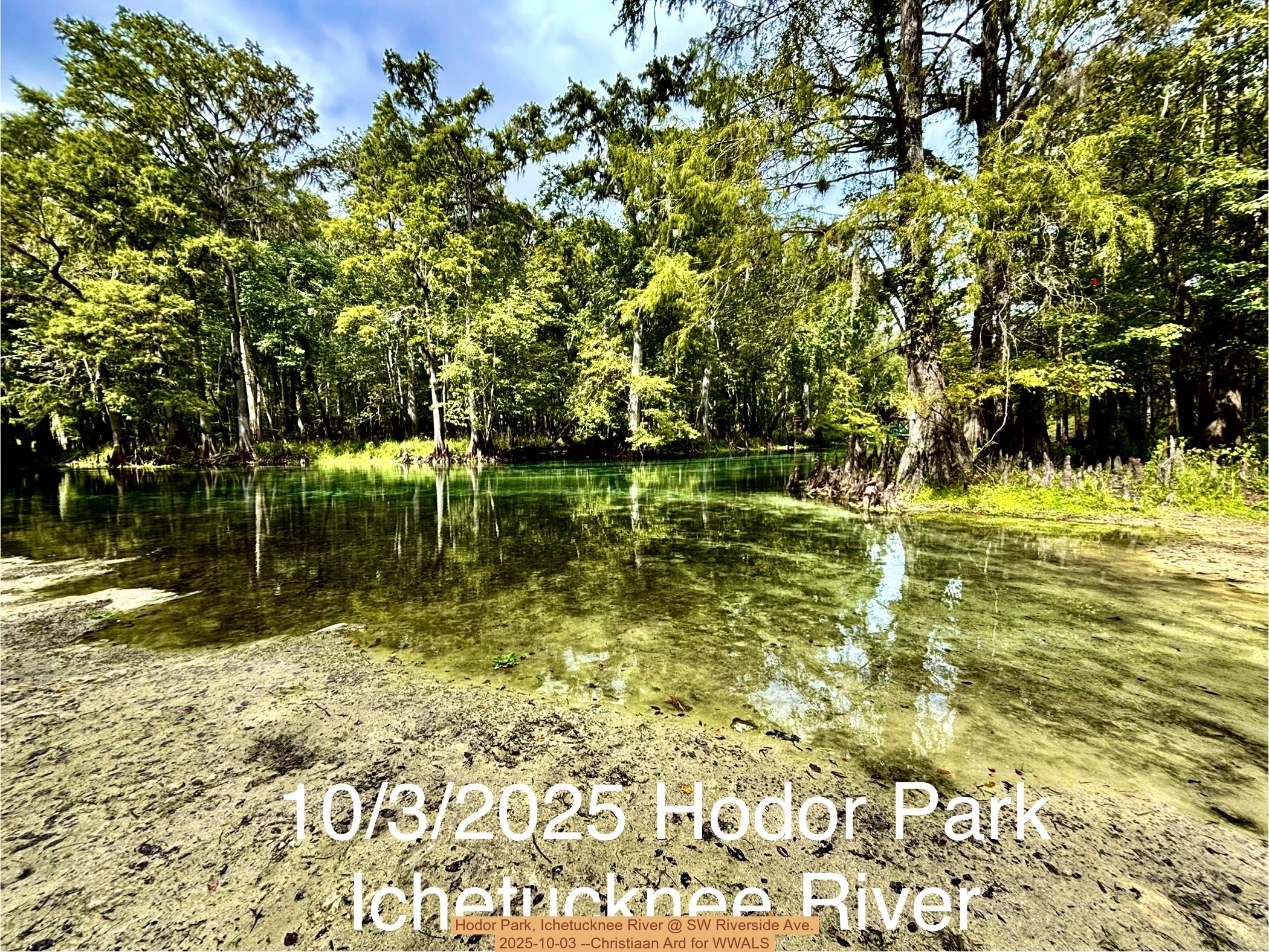 Hodor Park, Ichetucknee River @ SW Riverside Ave. 2025-10-03 --Christiaan Ard for WWALS
