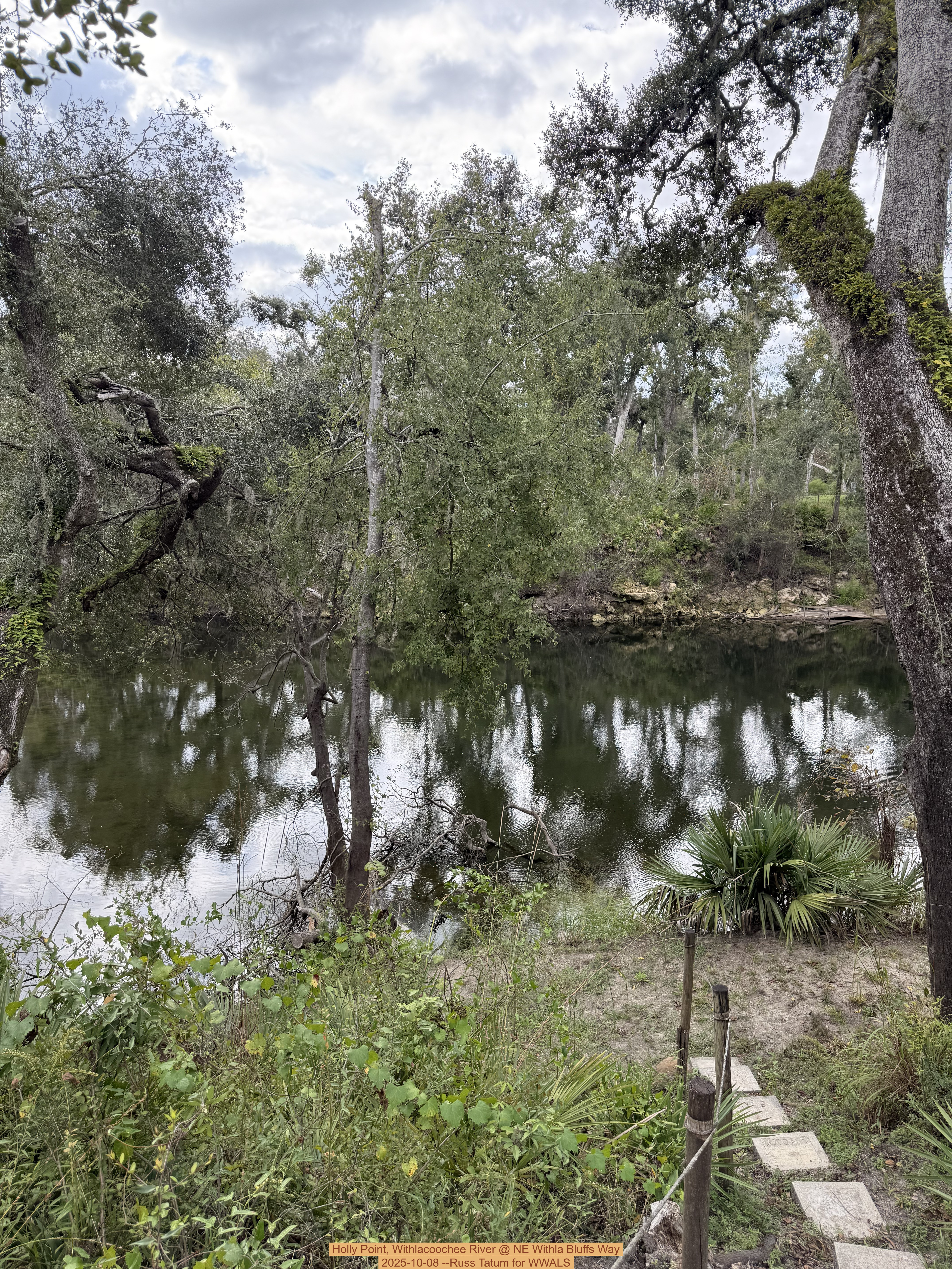Holly Point, Withlacoochee River @ NE Withla Bluffs Way 2025-10-08 --Russ Tatum for WWALS