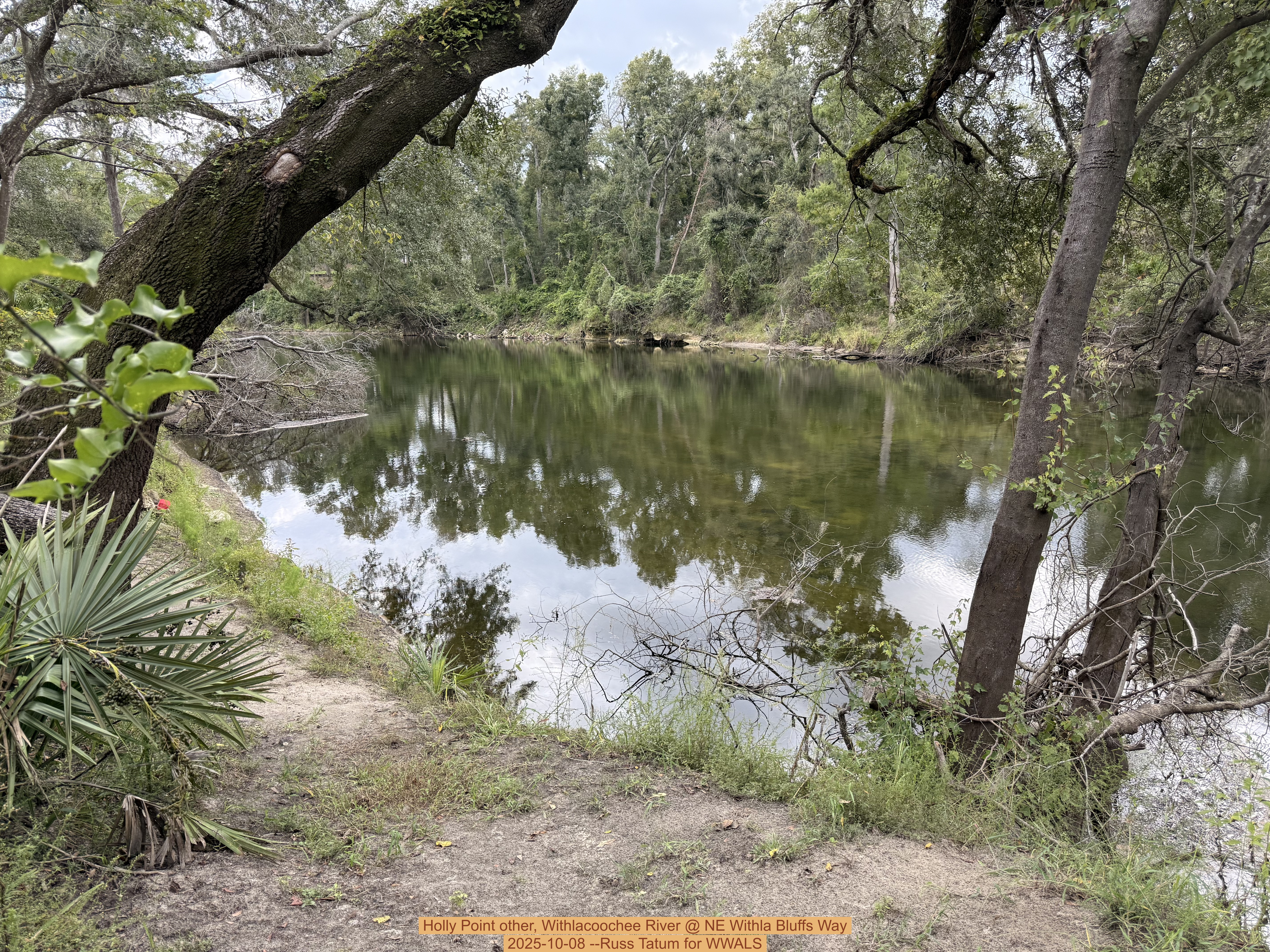 Holly Point other, Withlacoochee River @ NE Withla Bluffs Way 2025-10-08 --Russ Tatum for WWALS