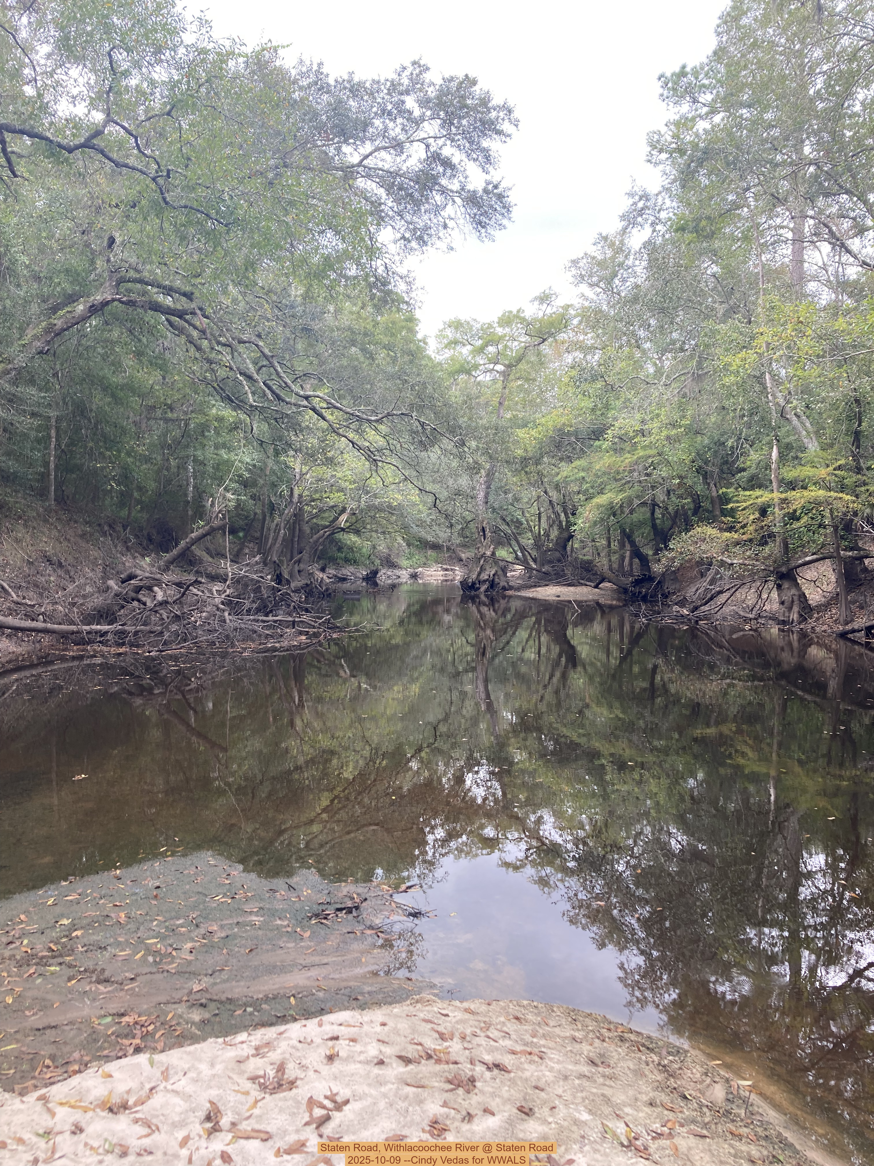 Staten Road, Withlacoochee River @ Staten Road 2025-10-09 --Cindy Vedas for WWALS