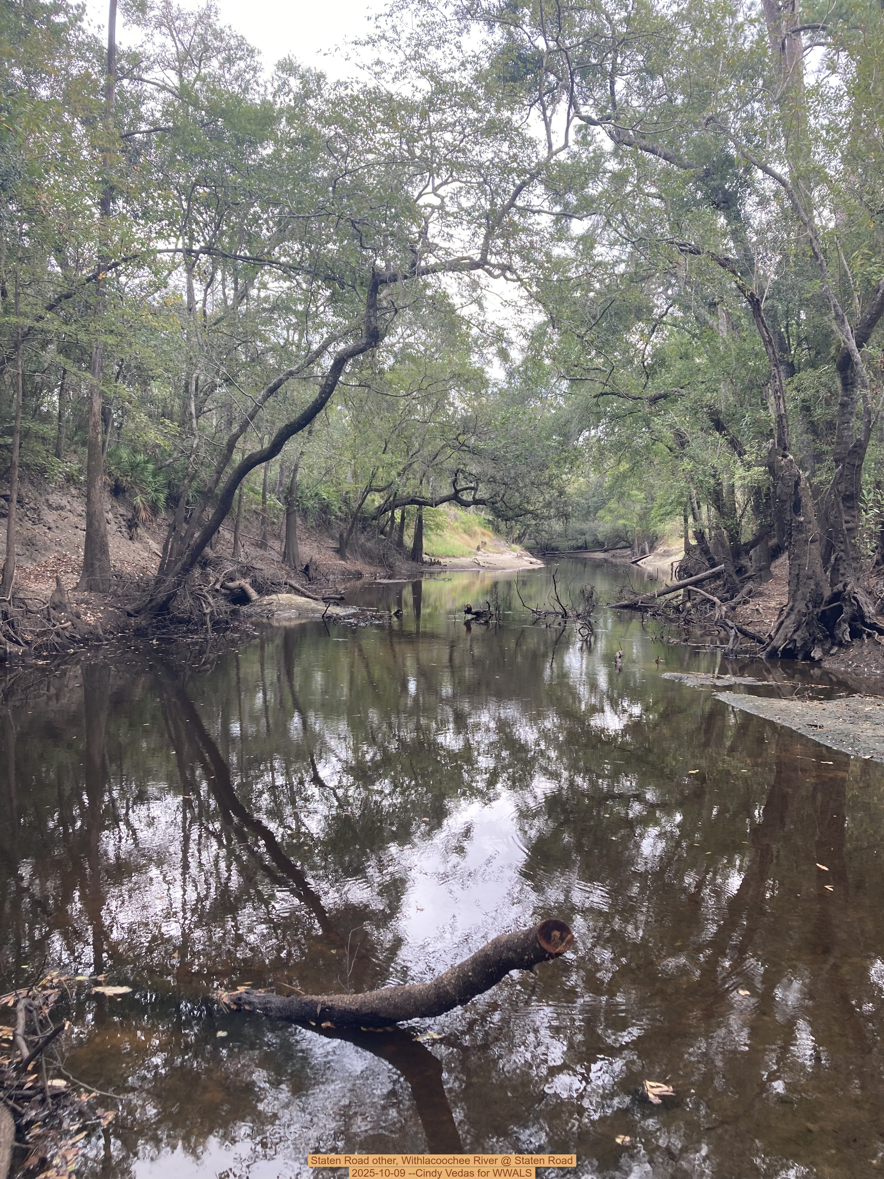 Staten Road other, Withlacoochee River @ Staten Road 2025-10-09 --Cindy Vedas for WWALS
