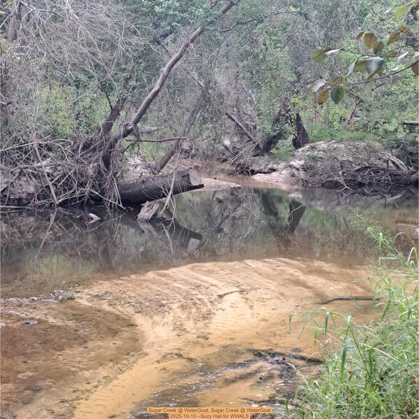 Sugar Creek @ WaterGoat, Sugar Creek @ WaterGoat 2025-10-10