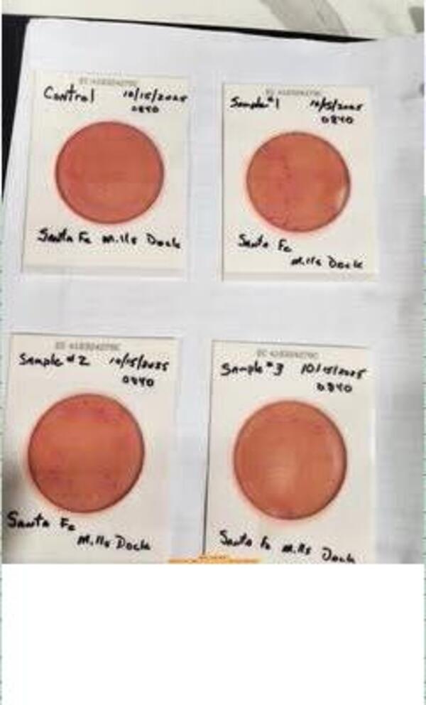 Plates, Mills Dock 2025-10-15