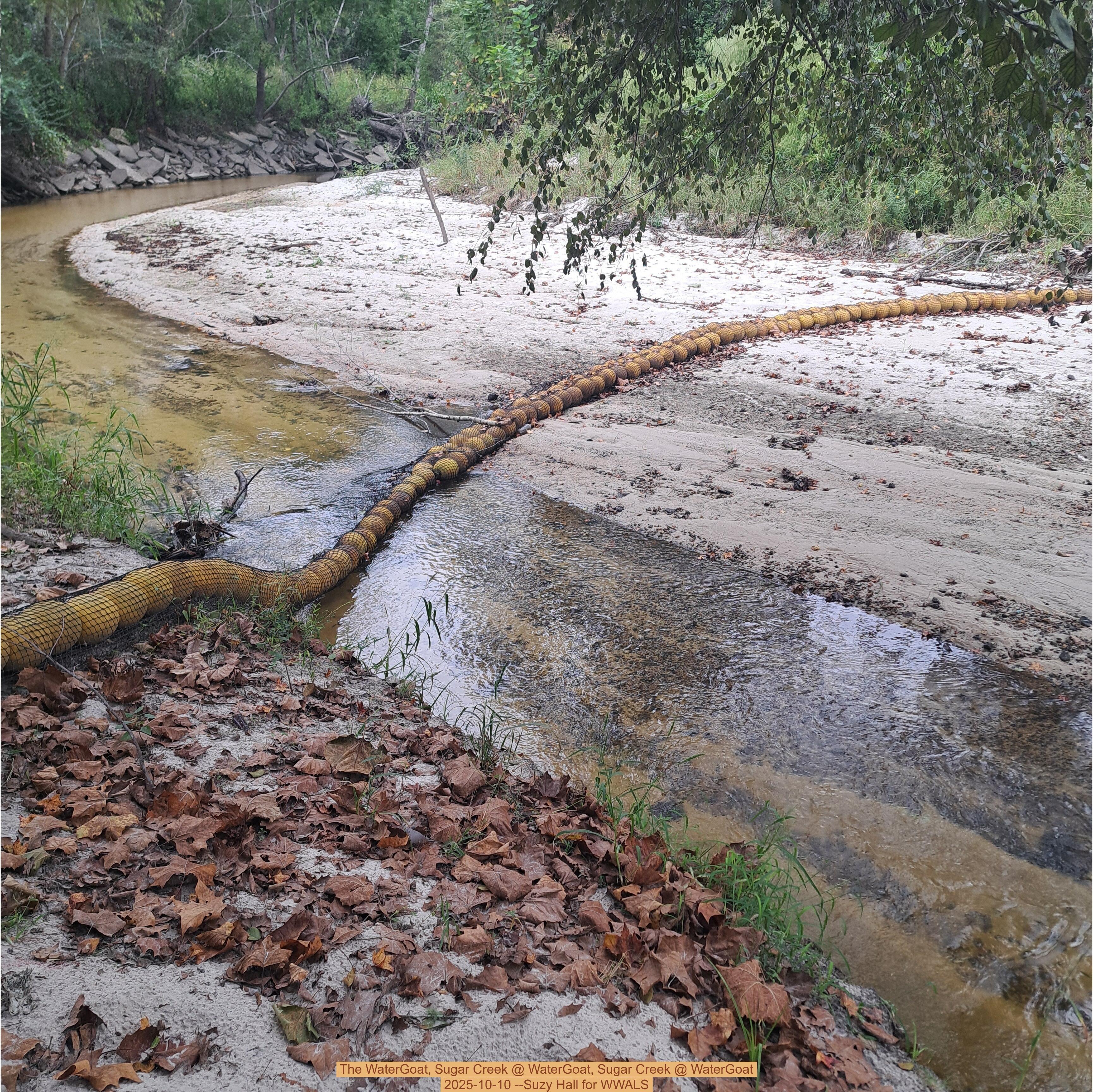 The WaterGoat, Sugar Creek @ WaterGoat, Sugar Creek @ WaterGoat 2025-10-10