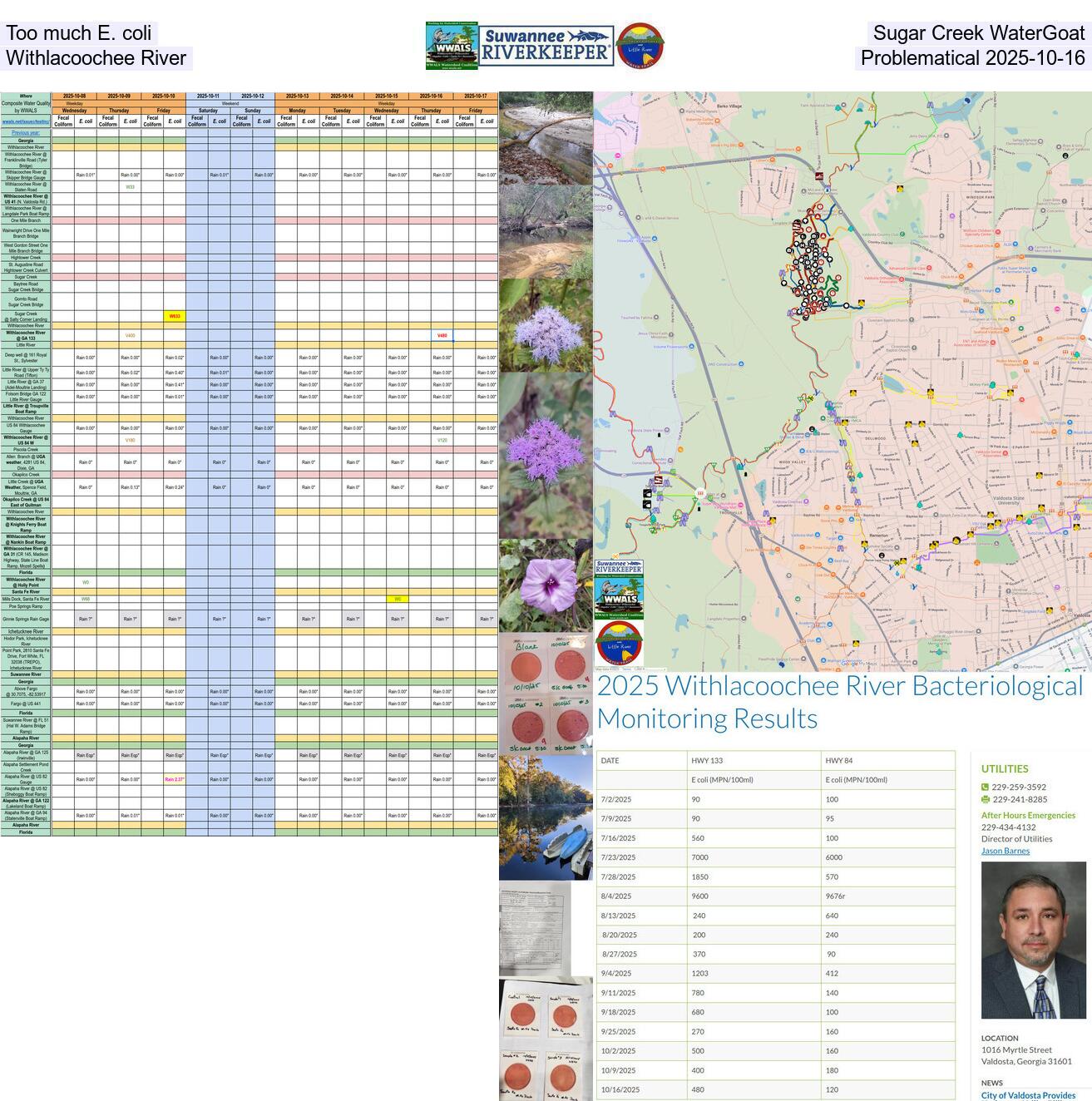 Too much E. coli at Sugar Creek WaterGoat, Problematical Withlacoochee River, 2025-10-16