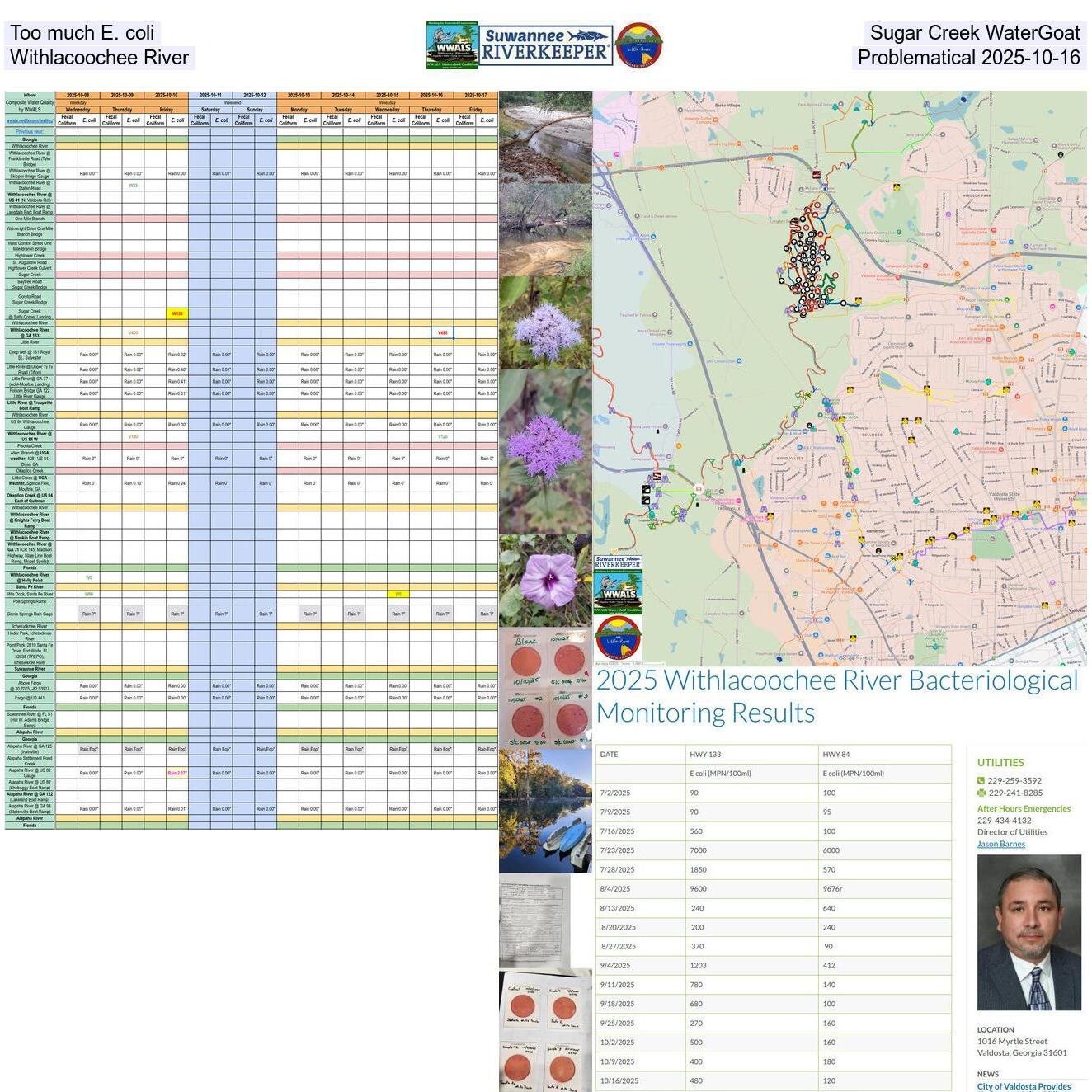 Too much E. coli at Sugar Creek WaterGoat, Problematical Withlacoochee River, 2025-10-16