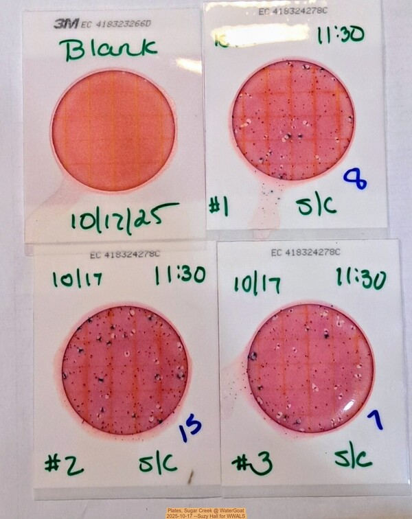 Plates, Sugar Creek @ WaterGoat 2025-10-17 --Suzy Hall for WWALS