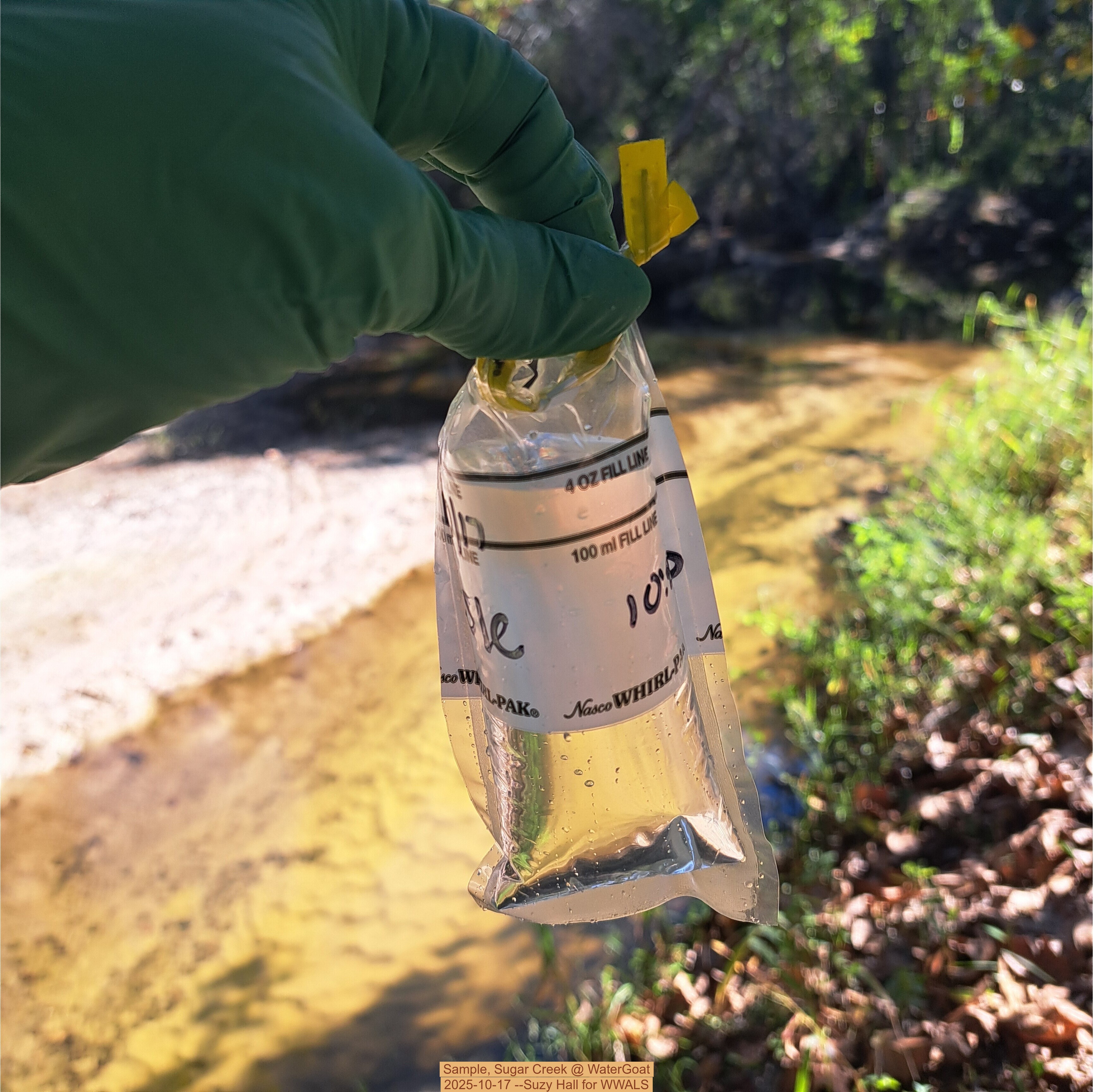 Sample, Sugar Creek @ WaterGoat 2025-10-17 --Suzy Hall for WWALS