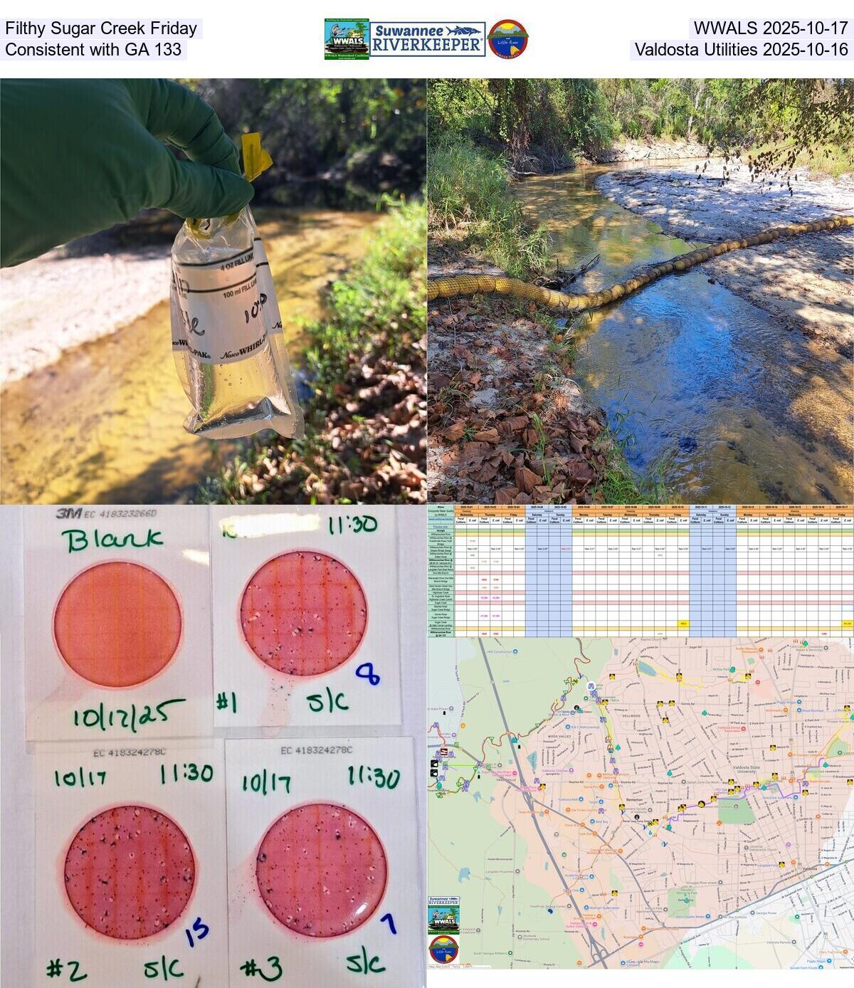 Filthy Sugar Creek Friday, WWALS 2025-10-17, Consistent with GA 133, Valdosta Utilities 2025-10-16