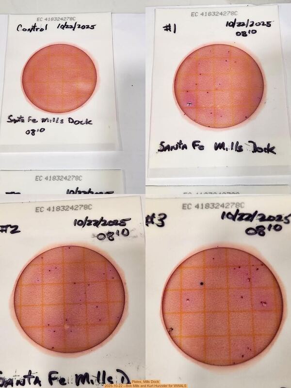 Plates, Mills Dock 2025-10-22 --Bob Mills and Kurt Hurzeler for WWALS