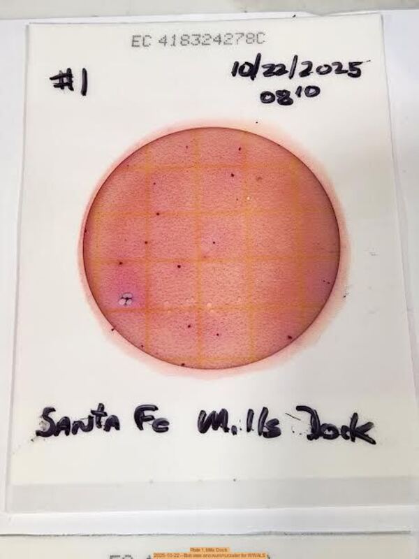 Plate 1, Mills Dock 2025-10-22 --Bob Mills and Kurt Hurzeler for WWALS