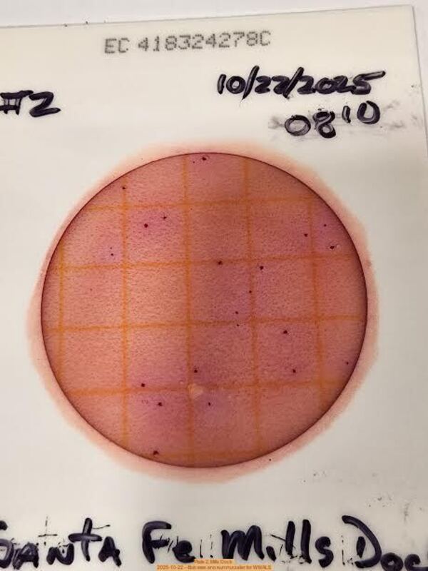Plate 2, Mills Dock 2025-10-22 --Bob Mills and Kurt Hurzeler for WWALS