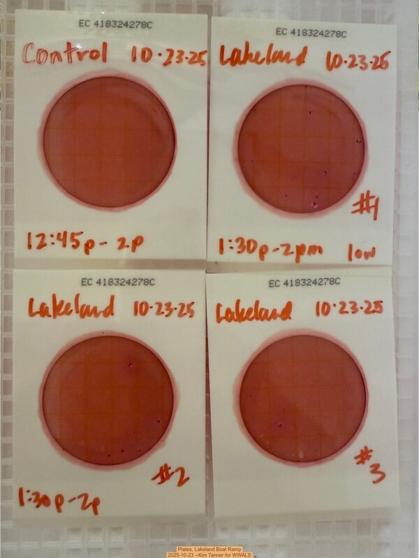 Plates, Lakeland Boat Ramp 2025-10-23 --Kim Tanner for WWALS