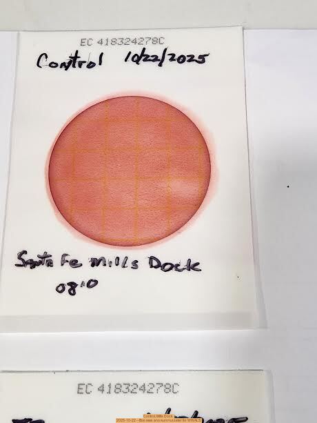 Control, Mills Dock 2025-10-22 --Bob Mills and Kurt Hurzeler for WWALS