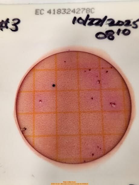 Plate 3, Mills Dock 2025-10-22 --Bob Mills and Kurt Hurzeler for WWALS