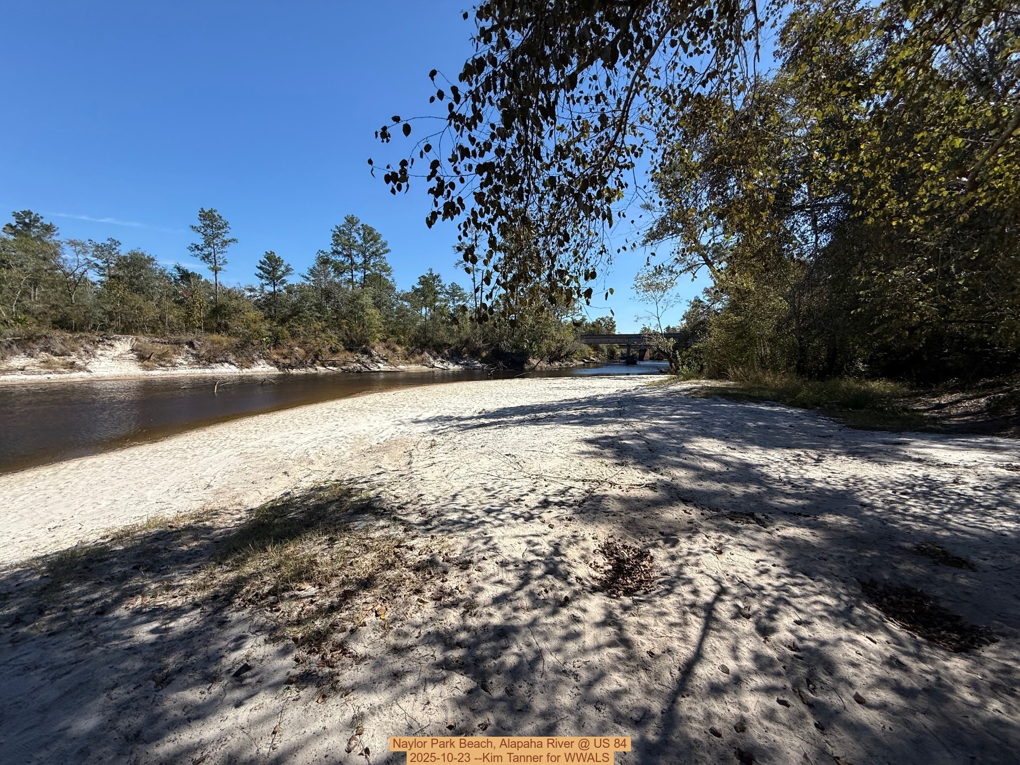 Naylor Park Beach, Alapaha River @ US 84 2025-10-23 --Kim Tanner for WWALS