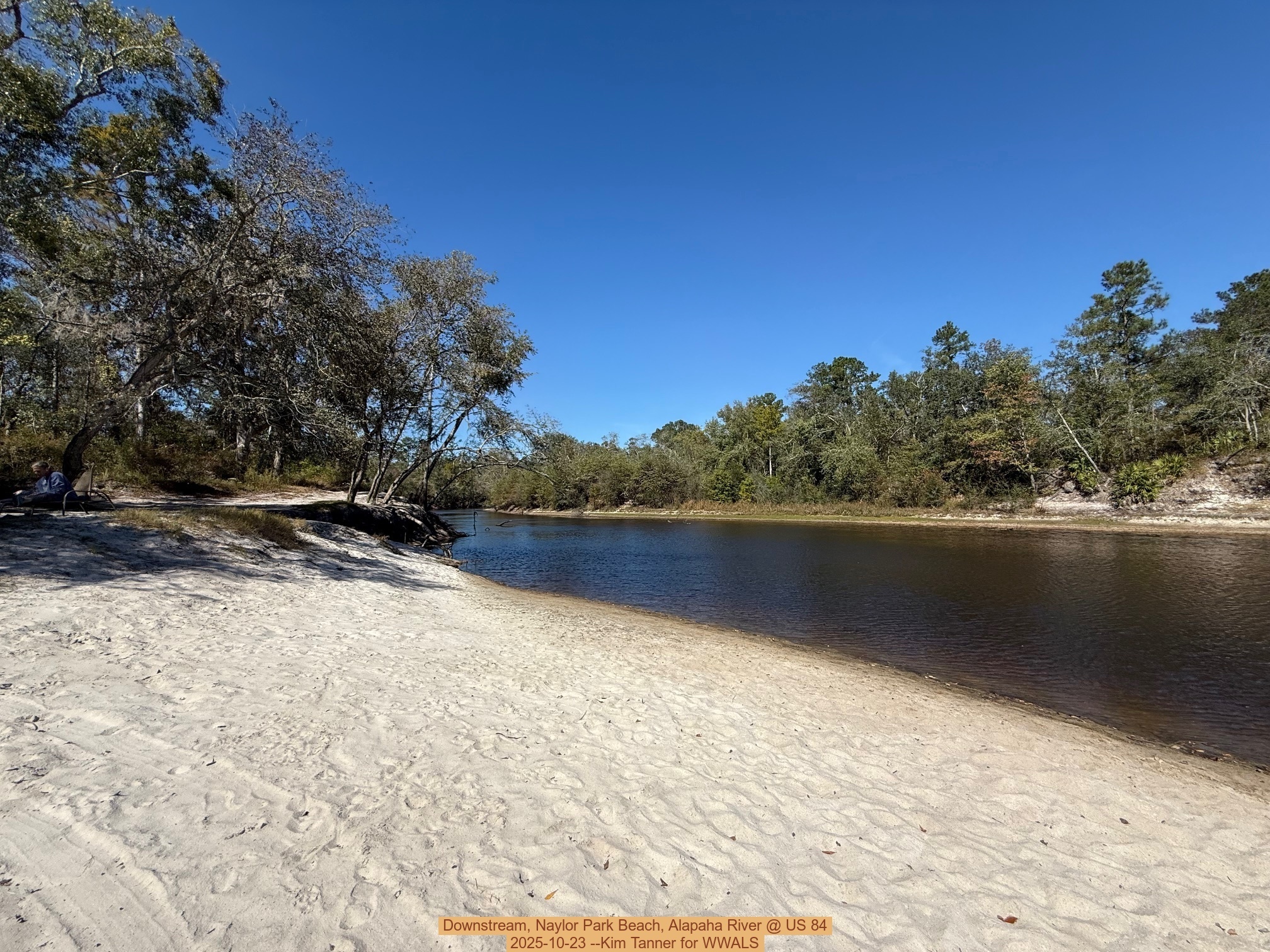 Downstream, Naylor Park Beach, Alapaha River @ US 84 2025-10-23 --Kim Tanner for WWALS