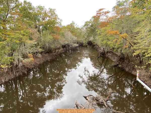 [Sheboggy Boat Ramp, Alapaha River @ US 82 2025-10-30 --Heather Brasell for WWALS]