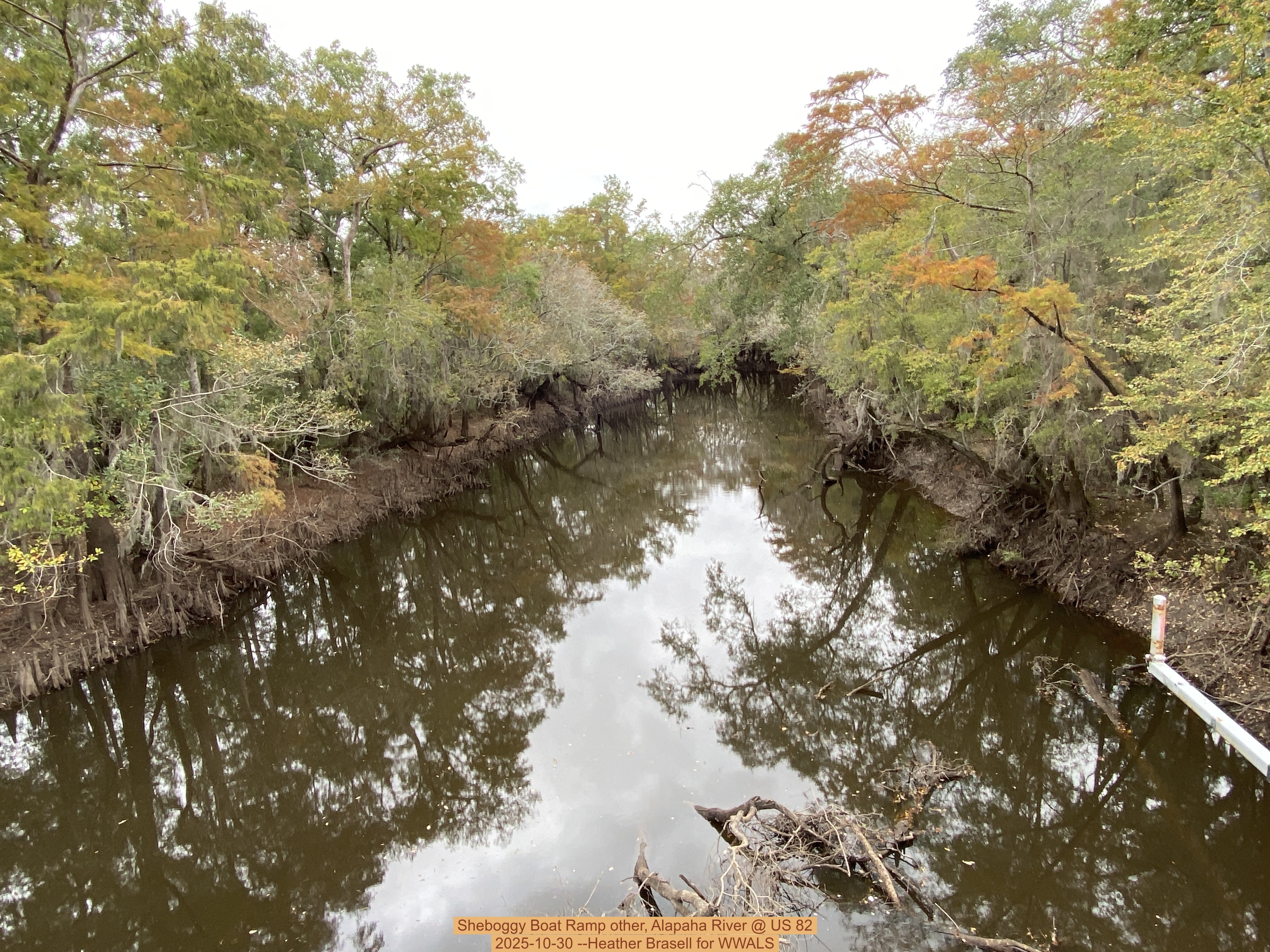 Sheboggy Boat Ramp other, Alapaha River @ US 82 2025-10-30 --Heather Brasell for WWALS