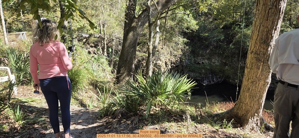 Rope swing, 2025:11:01 13:17:56, 30.4390502, -83.0897881 --jsq for WWALS