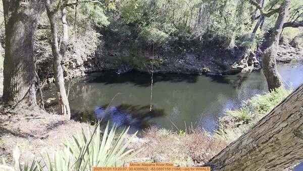 Movie: Alapaha River Rise, 2025:11:01 13:20:07, 30.4389922, -83.0897158 (10M) --jsq for WWALS