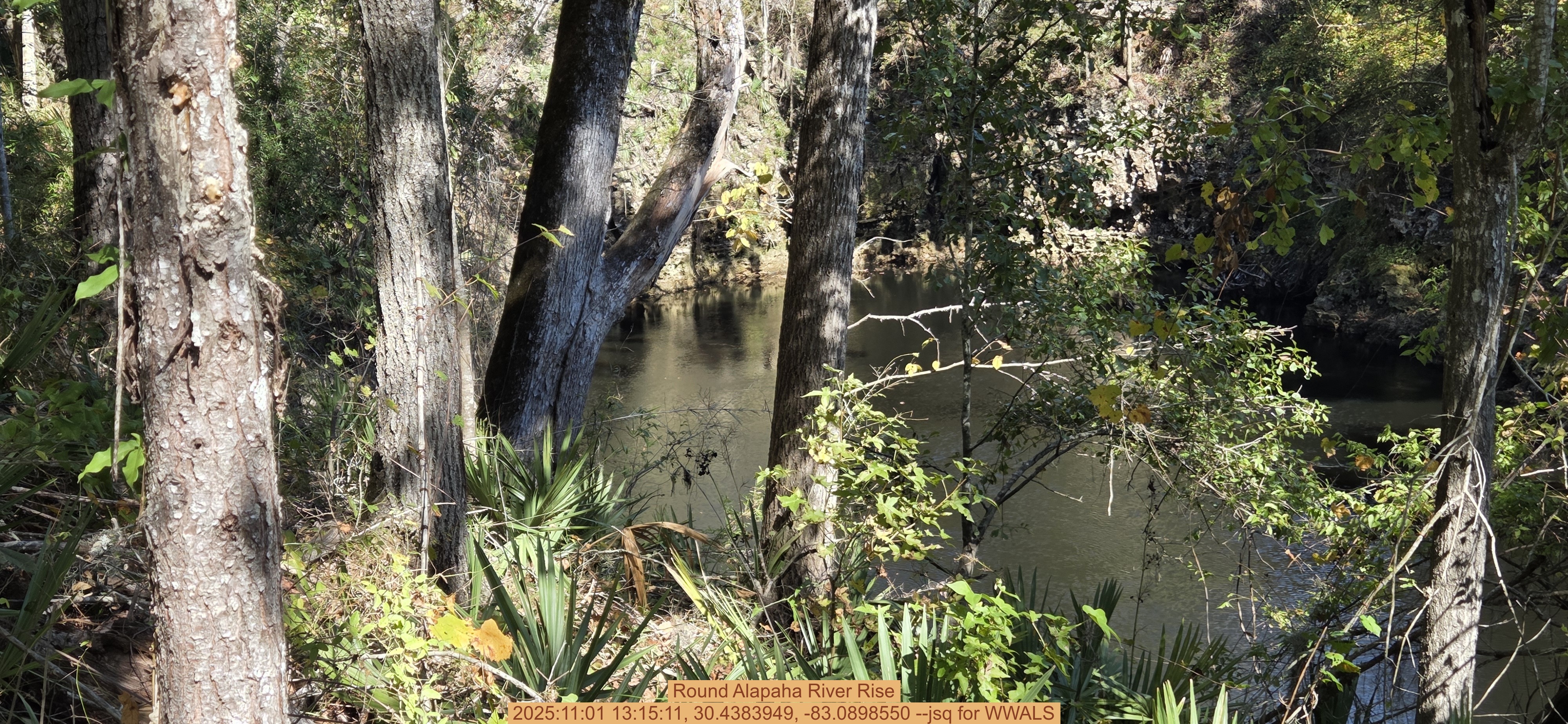 Round Alapaha River Rise, 2025:11:01 13:15:11, 30.4383949, -83.0898550 --jsq for WWALS