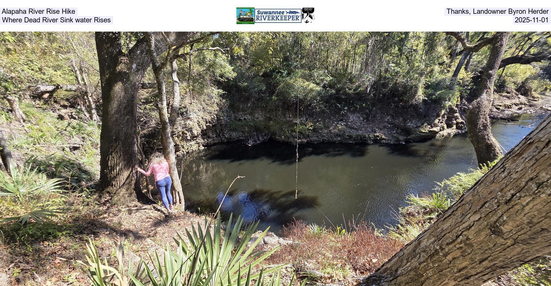 Alapaha River Rise Hike. Thanks, Landowner Byron Herder. Where Dead River Sink water Rises, 2025-11-01