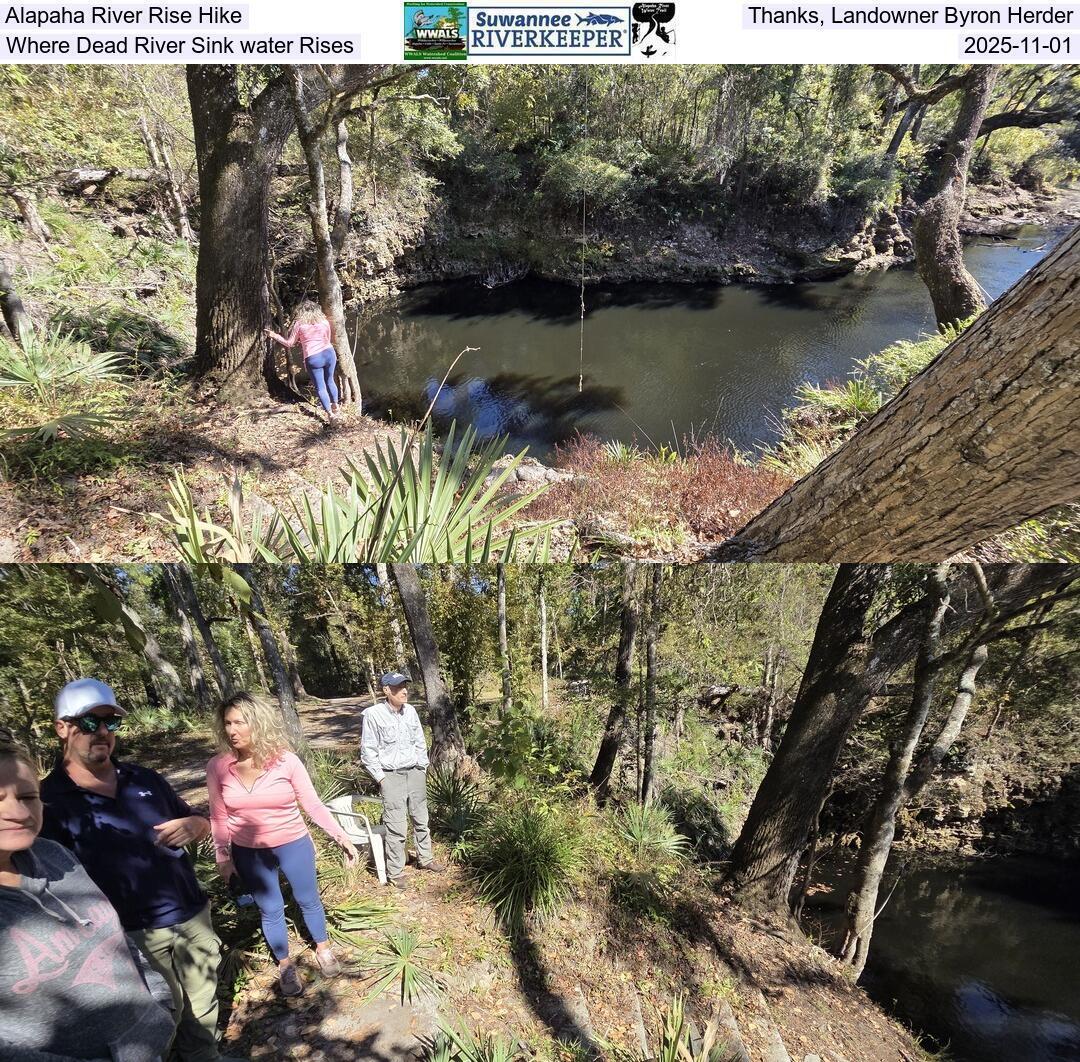 Alapaha River Rise Hike. Thanks, Landowner Byron Herder. Where Dead River Sink water Rises, 2025-11-01