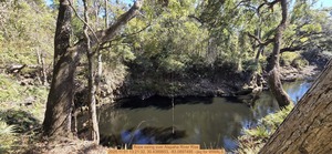 [Rope swing over Alapaha River Rise, 2025:11:01 13:21:32, 30.4389853, -83.0897495 --jsq for WWALS]