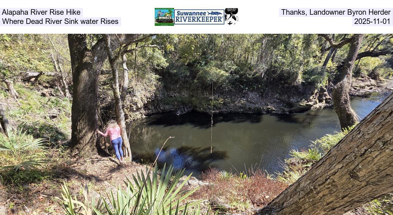 Alapaha River Rise Hike. Thanks, Landowner Byron Herder. Where Dead River Sink water Rises, 2025-11-01