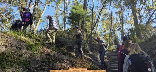 Climb up to go down, 2025:11:01 10:30:50, 30.5817695, -83.0515787 --jsq for WWALS