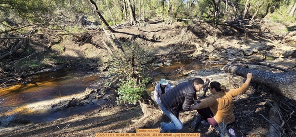 Dottie returns, 2025:11:01 10:44:39, 30.5822846, -83.0516946 --jsq for WWALS