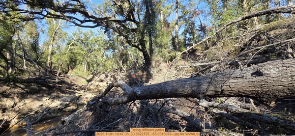 Trying different paths, 2025:11:01 10:47:35, 30.5822797, -83.0516978 --jsq for WWALS