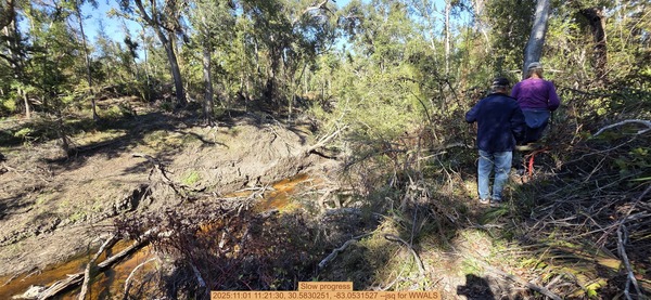 Slow progress, 2025:11:01 11:21:30, 30.5830251, -83.0531527 --jsq for WWALS