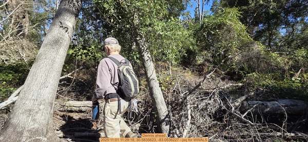 Dennis ahead, 2025:11:01 11:29:18, 30.5835623, -83.0536227 --jsq for WWALS