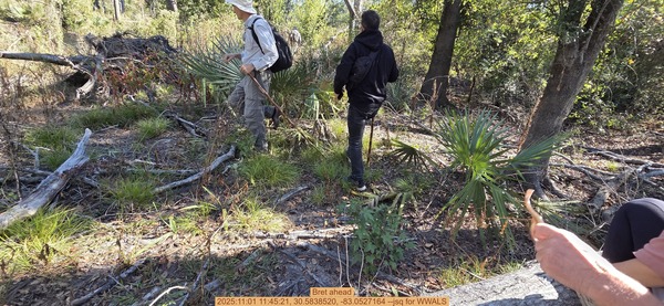 Bret ahead, 2025:11:01 11:45:21, 30.5838520, -83.0527164 --jsq for WWALS