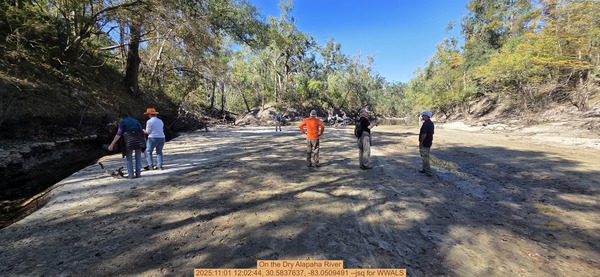 On the Dry Alapaha River, 2025:11:01 12:02:44, 30.5837637, -83.0509491 --jsq for WWALS
