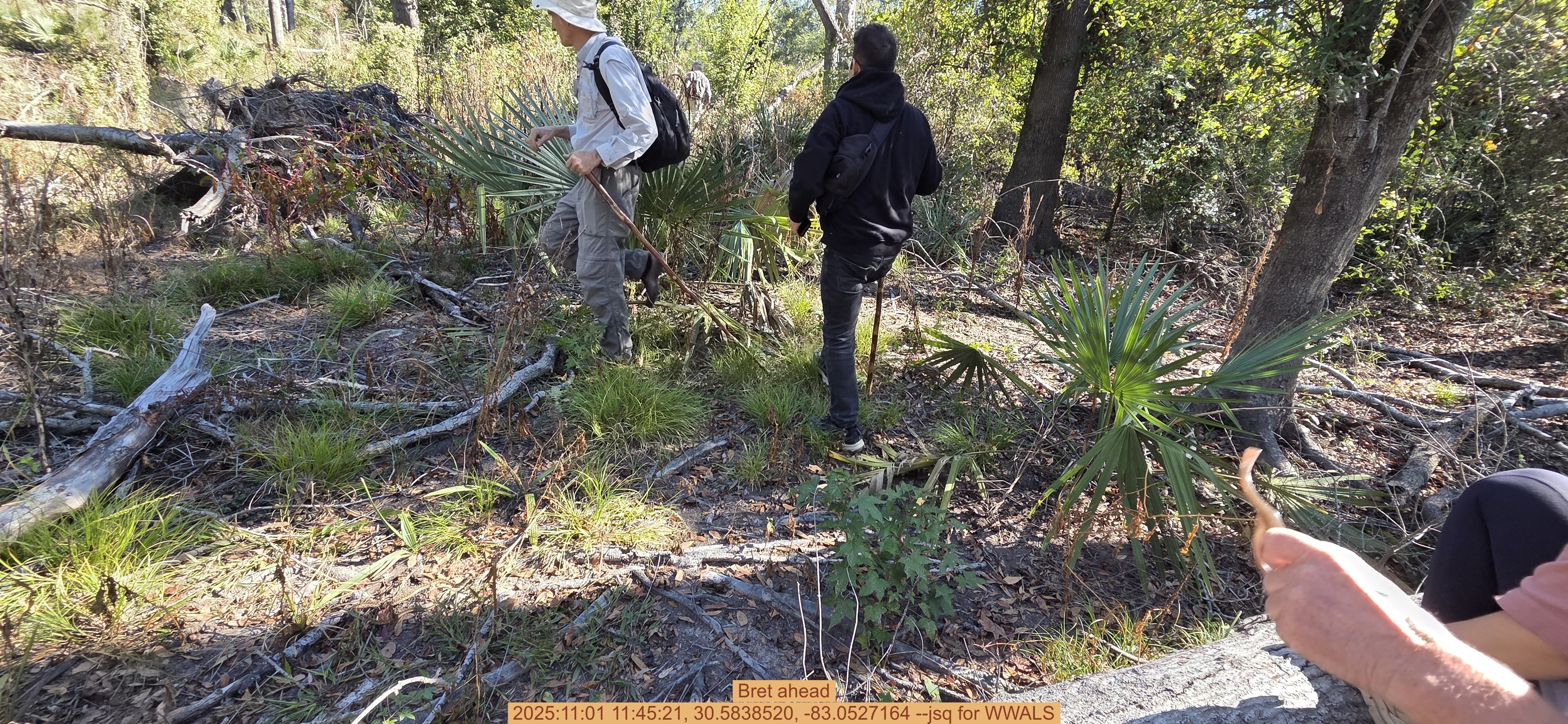 Bret ahead, 2025:11:01 11:45:21, 30.5838520, -83.0527164 --jsq for WWALS