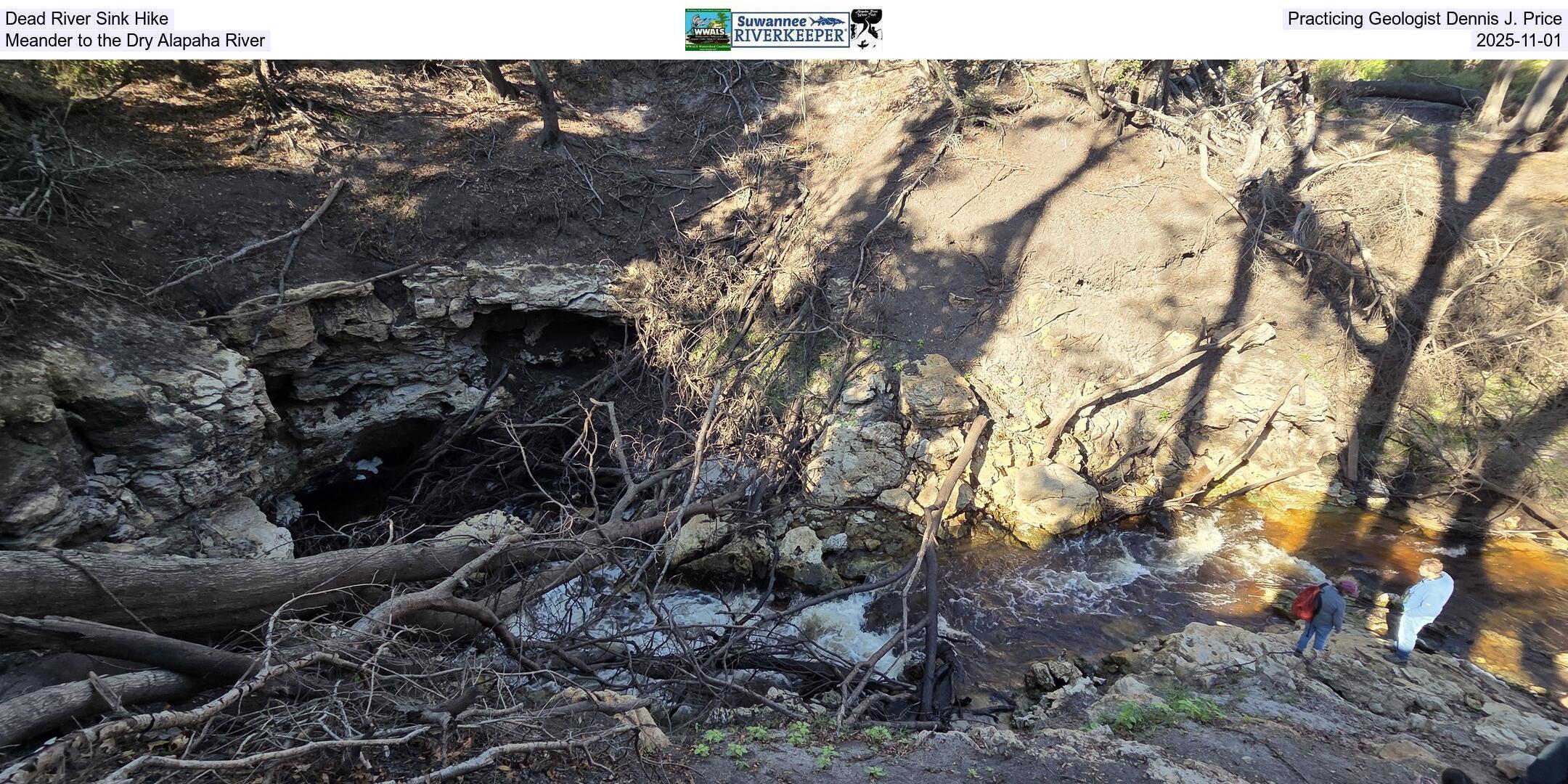 Dead River Sink Hike, Practicing Geologist Dennis J. Price, Meander to the Dry Alapaha River, 2025-11-01