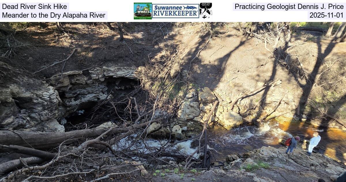 Dead River Sink Hike, Practicing Geologist Dennis J. Price, Meander to the Dry Alapaha River, 2025-11-01