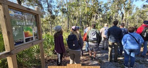 [Dead River kiosk, 2025:11:01 10:10:00, 30.5820218, -83.0511180 --jsq for WWALS]