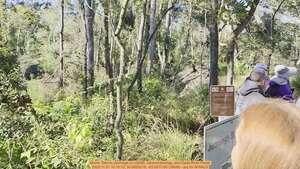 [Movie: Dennis Jennings on LiDAR, Geomorphology, and Dead River Ponar, 2025:11:01 10:10:12, 30.5820218, -83.0511180 (390M) --jsq for WWALS]