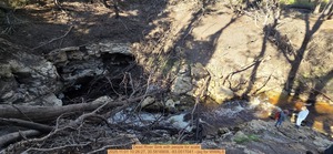 [Dead River Sink with people for scale, 2025:11:01 10:26:27, 30.5816809, -83.0517041 --jsq for WWALS]