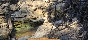 [Stack of rocks, 2025:11:01 10:44:25, 30.5822837, -83.0516951 --jsq for WWALS]