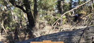 [Hikers up there, 2025:11:01 10:47:21, 30.5822811, -83.0516974 --jsq for WWALS]