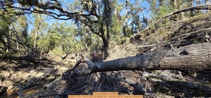 [Trying different paths, 2025:11:01 10:47:35, 30.5822797, -83.0516978 --jsq for WWALS]