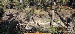 [Stob, 2025:11:01 11:32:05, 30.5838087, -83.0536234 --jsq for WWALS]