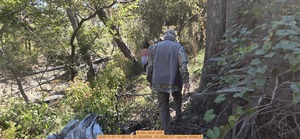 [A rare clear path, 2025:11:01 11:48:31, 30.5838884, -83.0526727 --jsq for WWALS]