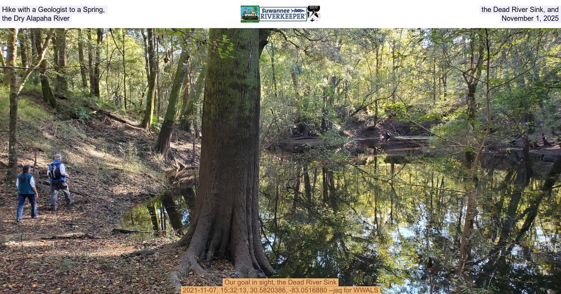 Hike with a Geologist to a Spring, the Dead River Sink, and the Dry Alapaha River, November 1, 2025