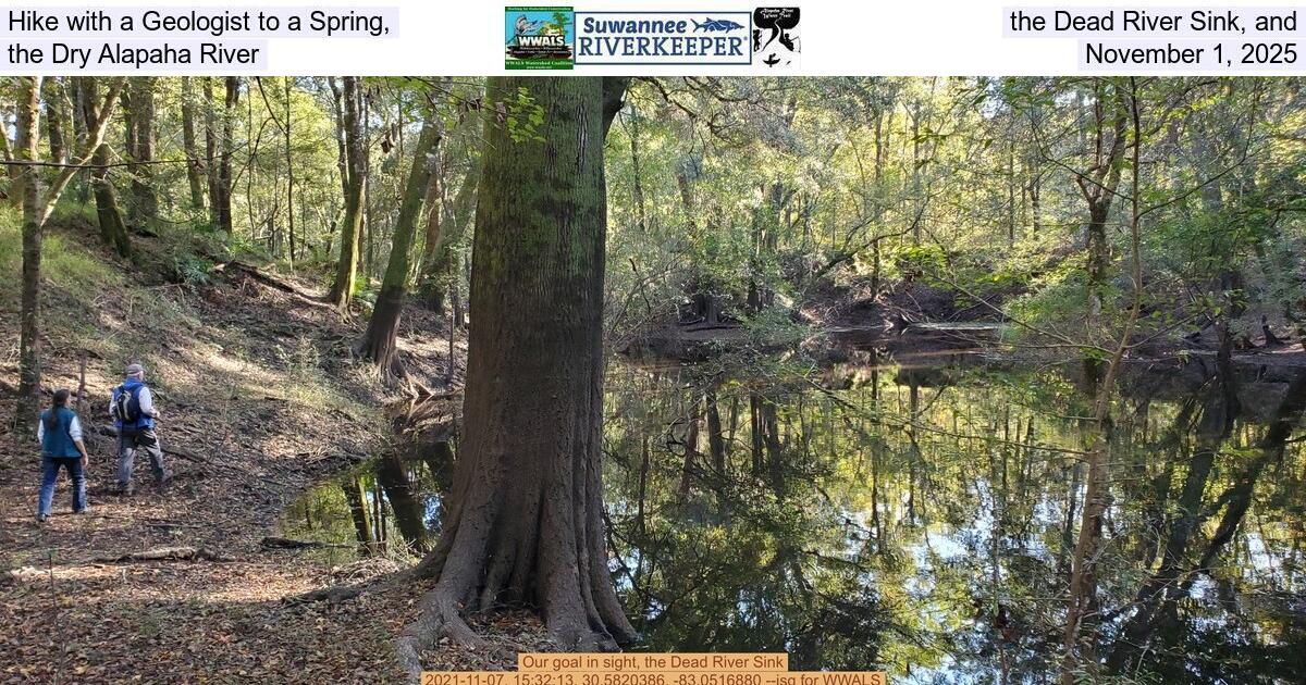 Hike with a Geologist to a Spring, the Dead River Sink, and the Dry Alapaha River, November 1, 2025